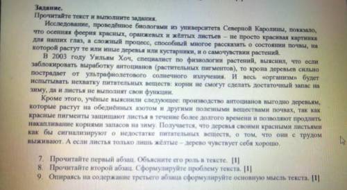 Амдирование новорение заданне. Рассмотрите инфографику «Преимущества изучения языков». Опираясь на м