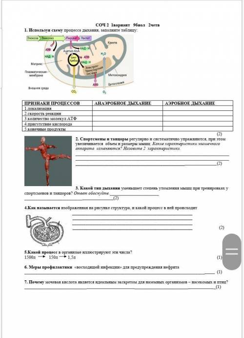 нужно хоть одно задание используя схему прогресса дыхания заполните таблицу