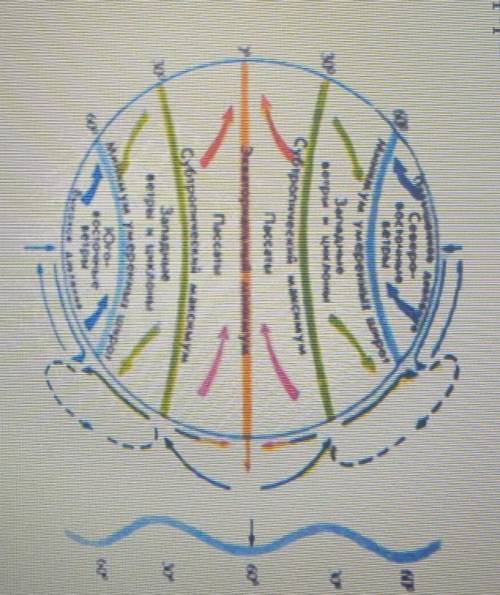 Используя данный рисунок объясните глобальную циркуляцию атмосферы:​