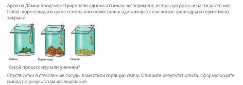 Асыл и Данил проводили исследование процесса происходящего в листьях.