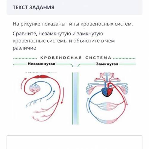 ТЕКСТ ЗАДАНИЯ На рисунке показаны типы кровеносных систем. Сравните, незамкнутую и замкнутую кровено