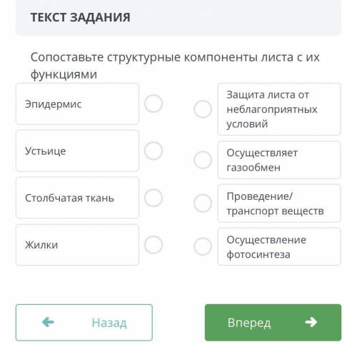 Сопоставьте структурные компоненты листа с их функциями