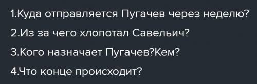 ответьте по литературе, 9 глава капитанской дочки.​