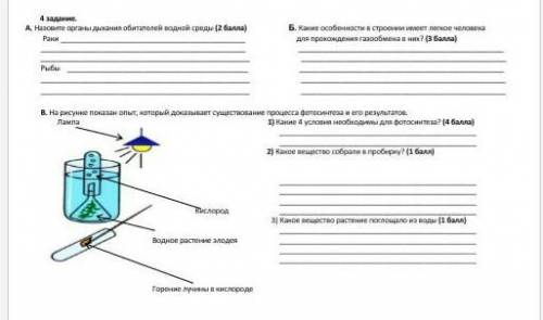 СОЧ ПО БИЛОГИИ 7 КЛАСС МНЕ =|​