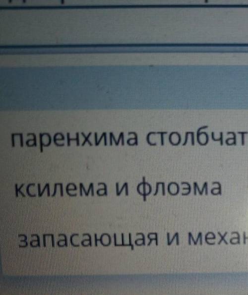 Для растений характерно минеральное и воздушное питание. назовите ткани в которых осуществляется про