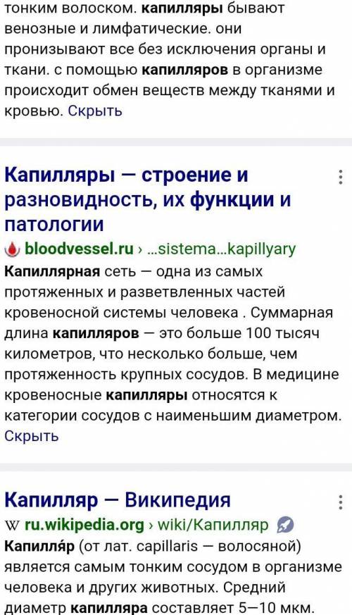 На рисунке изображены кровеносные сосуды. (а) Укажите артериальный кровеносный сосуд. (b) Опишите ос