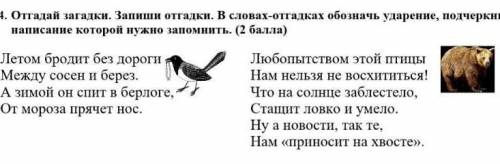 Отгадай загадки. запиши отгадки. В словах-отгадках​