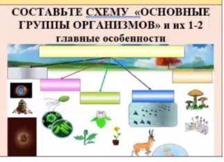 Биология 5 класс Составьте схему ОСНОВНЫЕ ГРУППЫ ОРГАНИЗМОВ и их 1-2 главные особенности