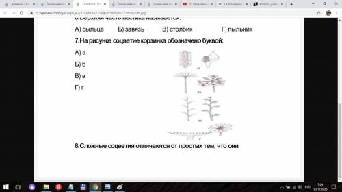 КЛАСС ТЕСТЫ СДЕЛАТЬ 7 8 9 10 11 12 13