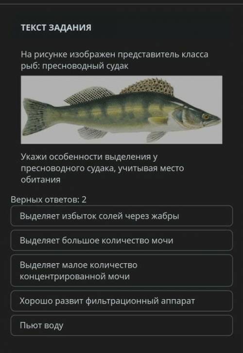 На рисунке изображен представитель класса рыб: пресноводный судак Укажи особенности выделения упресн