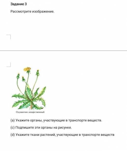 Задание 3 Рассмотрите изображение.Онатининг иккир инсоннин(а) Укажите органы, участвующие в транспор