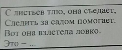 С листьев тлю, она съедает, Следить за садом Вот она взлетела ловко.Это - ...