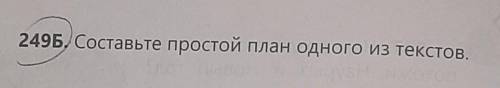 249Б, Составьте простой план одного из текстов.