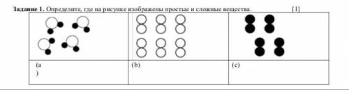 Задание 1. Определите, где на рисунке изображены простые и сложные вещества. [1]