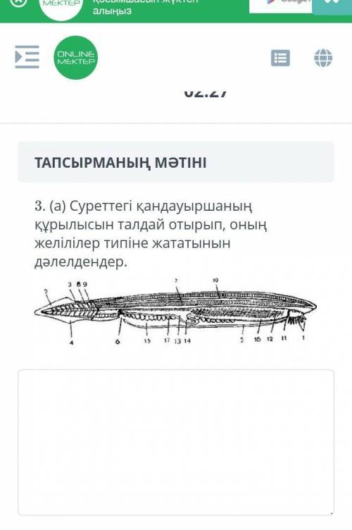 Какои атвет памагите көмек тесындершы