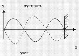 На рисунке изображена стоячая волна. а) укажите на рисунке узлы и пучности? в) объясните что в узлах