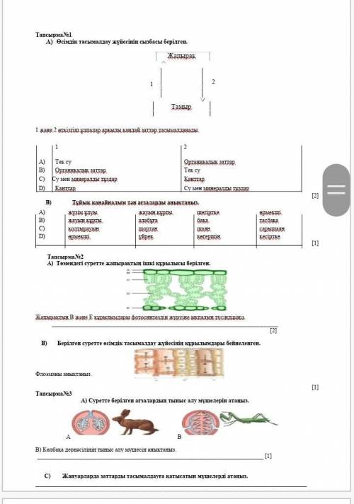 осымдык тасымалдау жуйесынын сызбасы берылген жапырактамыр1 жане 2 откызгыш улпалар аркылы кандай за