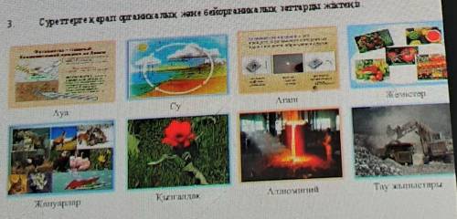 Суреттерге қарап органикалық және бейорганикалық заттарды жіктеңіз. Органикалық заттар ,Бейорганикал