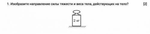 физика 7 класс 1. Изобразите направление силы тяжести и веса тела, действующих на тело?​