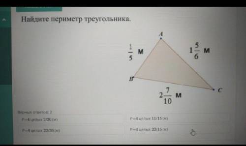 Какова была судьба Туркестанской автономии? *