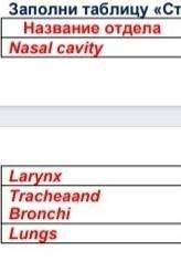 Vii. задание 2- заполни таблицу «строение и функции органов дыхания» название отделаособенности стро