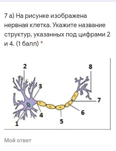 Вопрос на фотографии ответьте только кто знает