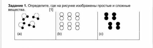 Задание 1. Определите где на рисунке изображены простые и сложные вещества Это СОЧ по Естествознанию