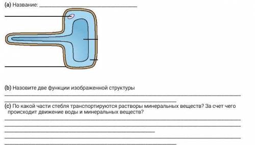 Назовите изображенную структуру и подпишите ее части. (а) Название:(b) Назовите две функции изображе