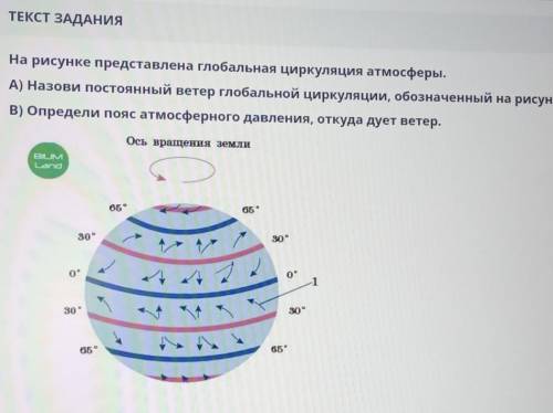 На рисунке представлена глобальная циркуляция атмосферы. А)Назови постоянный ветер глобальный циркул