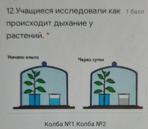 Учащиеся исследовали как происходит дыхание у растений. Объясните причину изменения цвета жидкости в