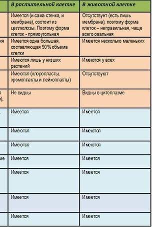 Напишите вывод к таблице о сравнении растительной и животной клетки​