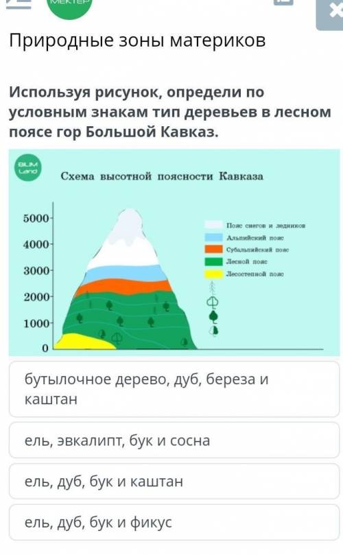 Определи по условным знакам тип деревьев в лесном поясе гор Большой Кавказ. :бутылочное дерево, дуб,