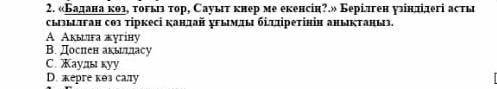 Бадана көз, тоғыз тор сауыт есеп ме екенсің берілген үзіндідегі асты сызылған тіркесі қандай ұғымды