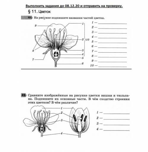 Домашняя работа по биологии вопросы в закрепе.