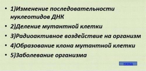 Биология. Расположите в правильном порядке.