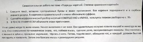 контрольная работа по русскому за полугодие