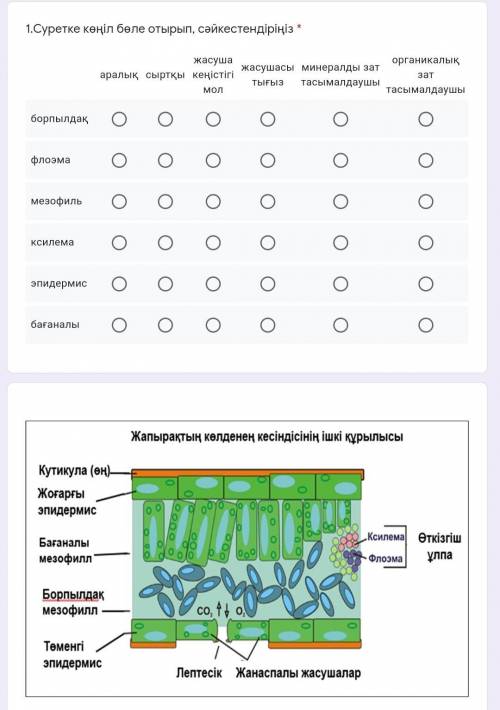 Суретке көңіл бөле отырып, сәйкестендіріңіз.