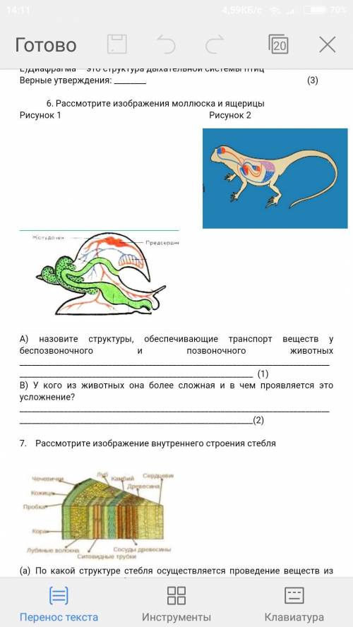 Соч по биологии Сдать нужно