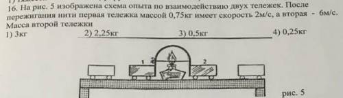 Выберите один правильный ответ