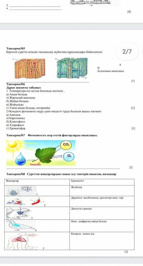 БИОЛОГИЯ ТЖБ 7 КЛАСС 2 ЧЕТВЕРТЬ. ​