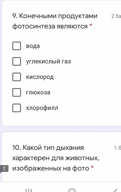 Конечными продуктами фотосинтеза являются *​