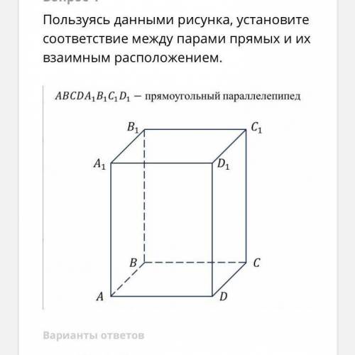 Варианты ответов:1- AB и С1D1 2-AB и B1C1