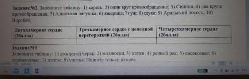 соч по биологии вас 2-3 задание​