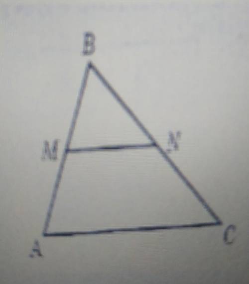 На рисунку MN паралельно AC. Знайти AМ якщо AB=30 см МN=5 см AC=25 ​