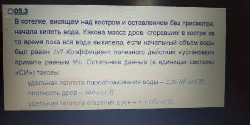 В котелке , висящим над костром и оставленным без присмотра , начала кипеть вода . Какова масса дров