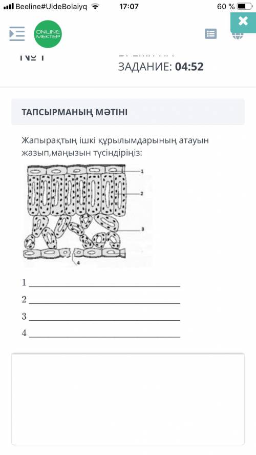 на казахском языке) Соч по биологии все дамА если будет ответы типо (оковалок) вот такие то жалоб на