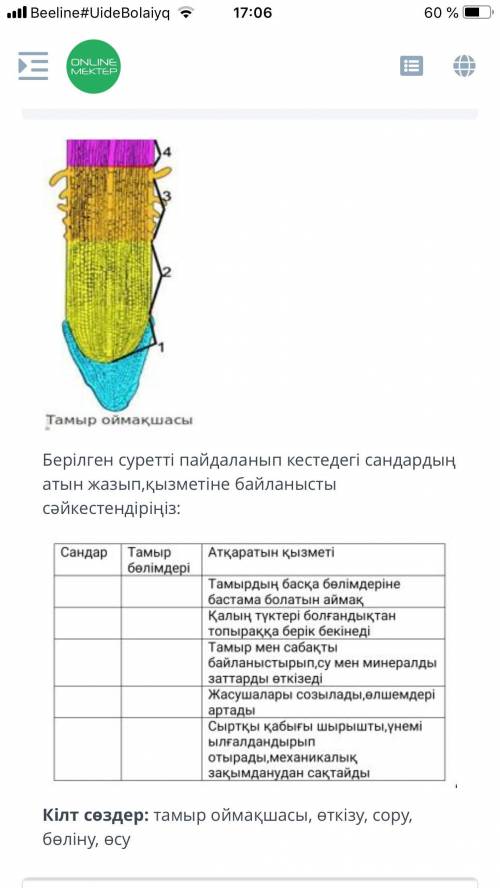 на казахском языке) Соч по биологии все дамА если будет ответы типо (оковалок) вот такие то жалоб на