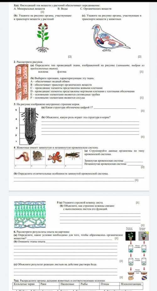 1,2 сор на последнем здохе ​