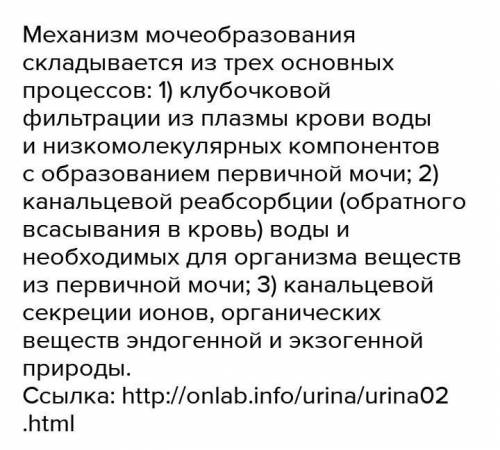 Регистрируйте образование первичной и вторичной мочи Процесс образования мочи ​