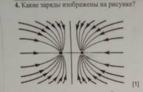 Какие заряды изображены на рисунке тут просто одно слово по быстрому 10б даю быстро​